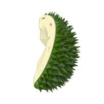 Cat Massage Combs With Catnip Durian Shape Kitten Rubbing Self Groomer Comb Pet Grooming Hair Remover Brushes Wall Corner Brush žalia
