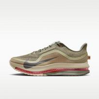 Nike Air Zoom Pegasus Premium Bėgimo Poeci 44 gray