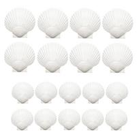 M-Modern-18PCS Natural Scallop Shells White Seashells Bulk For Crafts DIY Painting Baking For Baking Shells, Crafts DIY Painting balta