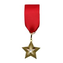 Inspired High Rank Award Pin Historical Armed Forces Memorabilia Badge Brooch For Collectors And Occasions red