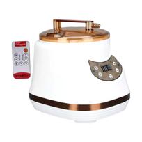 Portable Steam Generator Fumigation Machine Upgraded Safety Valve Sauna Steamer for Indoor Steam Bath