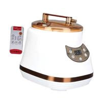 Portable Steam Generator Fumigation Machine Upgraded Safety Valve Sauna Steamer for Indoor Steam Bath