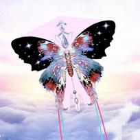 Aukštos kokybės animacinis drugelio aitvaras - Lengvai skrenda net esant silpnam vėjui, skirtas vaikams ir suaugusiems 1.4m Black Dream Butterfly (Kite Only) gray
