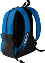 Arena Sportinė kuprinė Team Backpack 30l mėlyna