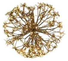 Dekoracija "Kamuolys" Finnlumor su LED apšvietimu, 50 cm, 50 cm, juoda sp.