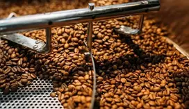 Kavos pupelės Ingagi Kavos pupelės Kava Šokoladinis Pride Espresso 250g