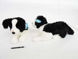 Dubi *PLUSZ pies Border Collie 45cm