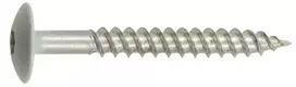 Fischer NKT fasado varžtas 4,5x40 mm - A2, šviesiai pilka kupolinė galvutė TX20 - 200 vnt. pakuotėje.