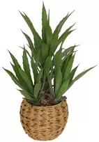 Atmosphera Dirbtinė agava madinga pintame vazonėlyje, aukštis 61 cm