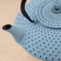 Vilde TSUKO ketaus arbatinukas su filtru, puodeliais ir padėkliuku, 1,25 l