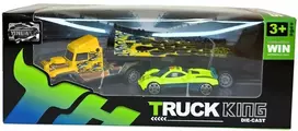 Tralas su automobiliu 6705