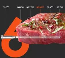 Bluetooth mėsos termometras Meatmeet S Pro, pilkas