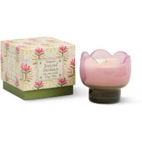 Paddywax Tulip Bronzed Gardenia kvapioji žvakė 155 g