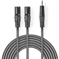 Nedis Kabelis Nedis 2x XLR M - 3.5mm M 3m COTH15310GY30
