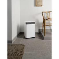 Mill Dehumidifier | MDH20 | Suitable for rooms up to 20-30 m² | Water tank capacity 4 L | White MDH20