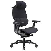 ThunderX3 FLEX Pro Loft, Grey TEGC-307510Z.Z3