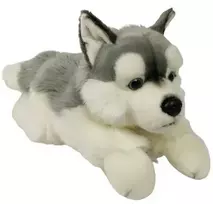 Dubi Plusz Dubi Pies Husky leżący 61cm 35509