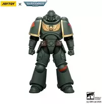 Figūrėlė Funko Pop figūrėlė Warhammer 40k Dark Angels Intercessor 1/18 12 cm