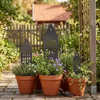 Sodo kuolas 3 vnt. 41 x 10 x 0,08 cm Šaltai valcuotas plienas