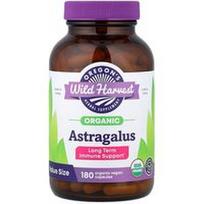 Oregon's Wild Harvest, Ekologiškas Astragalus, 180 ekologiškų veganiškų kapsulių (375 mg vienoje kapsulėje)