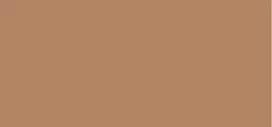 Mac Mineralize Skinfinish Natural Pudra 10 ml