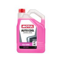 Antifrizas MOTUL AUTO COOL G12 EVO -37°C 5L