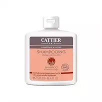 Cattier Paris Cattier riebių plaukų šampūnas 250ml
