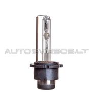 D4S 35W 4300K Xenon Lemputė