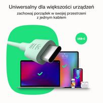 Kabelis iLike  Kabelis Green Cell PowerFlex Fast Charging USB Type-C Male - USB Type-C Male 100W Mint Green 2m 5904326376243