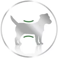 Royal Canin Mini Adult Loaf šlapias Maistas šunims - 12x195g