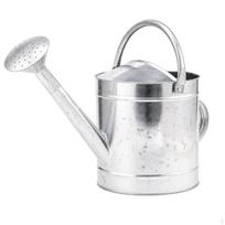 Watering Can with Rose Head Galvanized Lid Long Spout Sprinkler Replacement