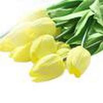 12Pcs Artificial Tulips Flowers Real Touch Tulips for Decoration Fake Tulips Floral Arrangements Artificial Faux Tulips… More purple