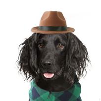 Adjustable Pet Cowboy Hat for Dogs and Cats - Headwear Corgi Chihuahua ruda