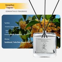 Osmanthus Aroma Bedroom Essential Oil Diffuser with Long-Lasting Rattan Sticks - Customizable Fragrance Refill 100ml black