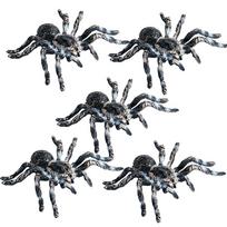 Realistic Spider Insect Tricky Prank Joke Toys Halloween Props Home Decor Festival Horror Artificial Spider Halloween Decoration