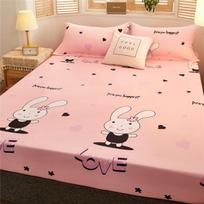 Itin vandeniui atsparus lovos čiužinio užvalkalas, paklodė lovatiesė su elastine spausdinimo juostele, dulkėms atspari lovatiesė 90X200cm Only Sheet beige