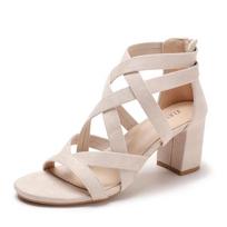 Women's Fashion Versatile Coarse Heel Roman Style High Heel Sandals Rear Zipper Summer Womens Shoes 41