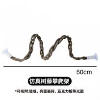 Reptile Climbing Vine Decor With Suction Cups Terrarium Enrichment 50cm To 100cm Flexible Artificial Branches Snakes Suction Cup Artificial Climbing Vine 50cm gray