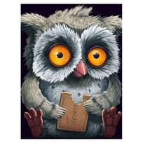 5D „pasidaryk pats“ deimantinis dažymas pelėdos kryželiu, pilnas gręžimo apvalus siuvinėjimo mozaikos animacinis menas, cirkonio dekoro dovanos paveikslėlis Full Round 30x40CM
