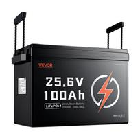 VEVOR 24V 100Ah LiFePO4 ličio baterija 4000+ ciklų Įmontuotas 100A BMS, ličio baterija su apsauga nuo žemos temperatūros, palaiko 8P2S jungtį