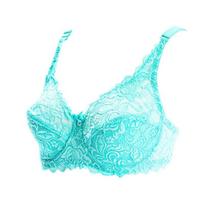 Elegant And Sexy Lace Women Bra Plus Size 75-100 D E Ultrathin Brassiere 95e 100e Underwear 90DE white