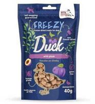 SYTA MICHA FREEZY Duck with plum and dried thyme