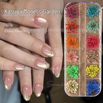 Trendy Dried Flower Lace Nail Art Ornaments - Mixed Style Baby's Breath Floral Decorations 12 Grids Nail Art Dried Flowers (24 Pieces)