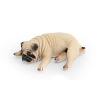 Mopsas Šiba Inu Figūrėlė Realistiškas Japonijos Šiba Inu Figūrėlė Šuo Gyvūno Modelis Pasakų Sodo Dekoracija style 7