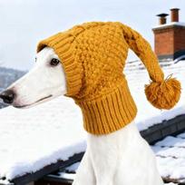 Puppy Hood Stretchy Dog Knitted Hat Ears Cover Cozy Pet Head Wrap Warm with Ball Winter Dog Hat Cold Weather Walking orange