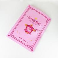 Certificate Organizer Binder with Transparent Pockets - Holder for Test Papers and Honors pink