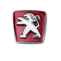 Metal Car Front Grille Stickers Side Trunk Badges for  for Peugeot206 207 208 301 307 308 408 508 607 2008 3008 4008 5008 GT RCZ Peugeot