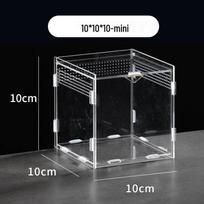 High Transparency Reptile Terrarium: Ideal Habitat for Scorpions, Spiders, Mantises, Geckos, and Corn Snakes 10x10x10 cm (Assembly) skaidri