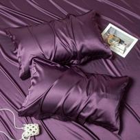 Summer Heavyweight Mulberry Silk Pillowcase Set - Tencel Ice Silk Cover for Single Pillow 48*74cm Single šviesiai pilka spalva