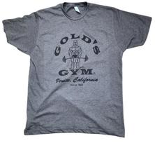 Men's Golds gym 1965 logo Color Vintage Retro style T-shirt soft style gift Idea XL gray